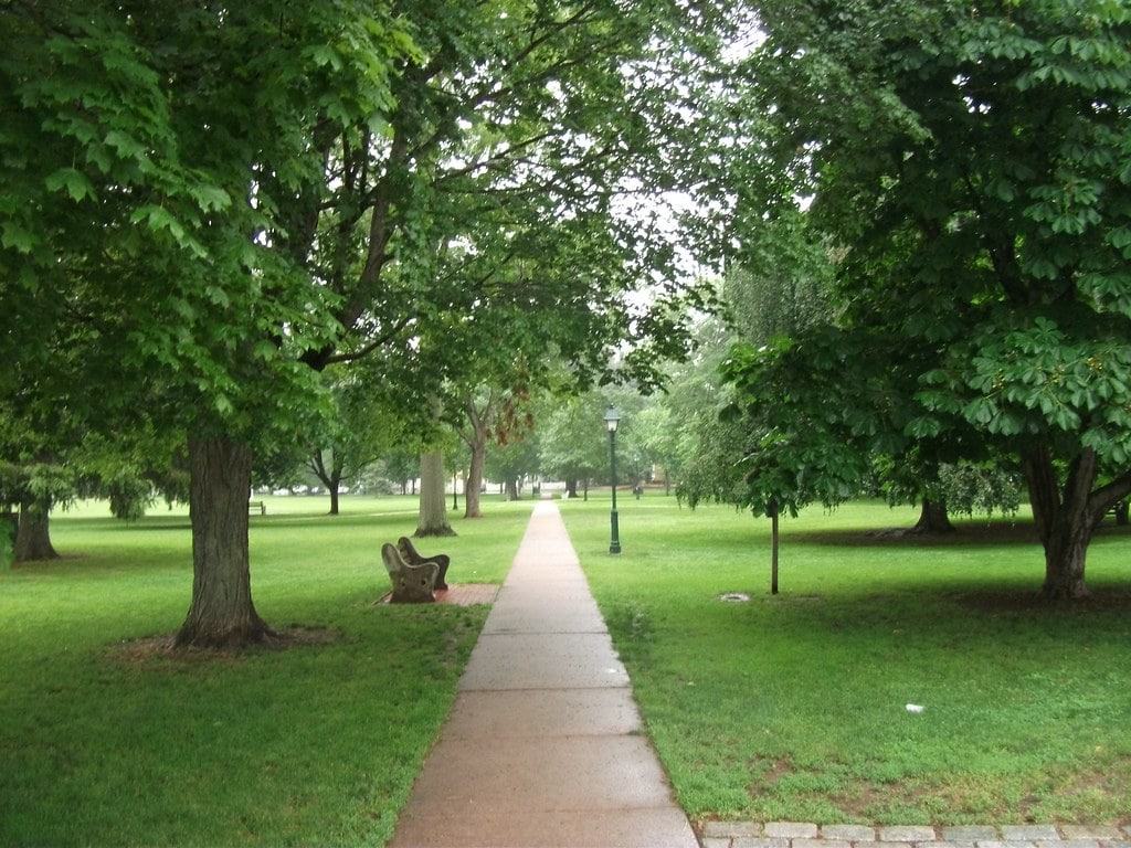 Town Green