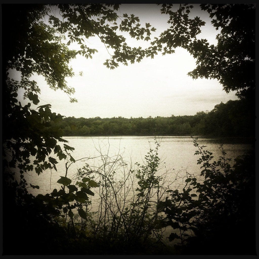 Fisher Meadows