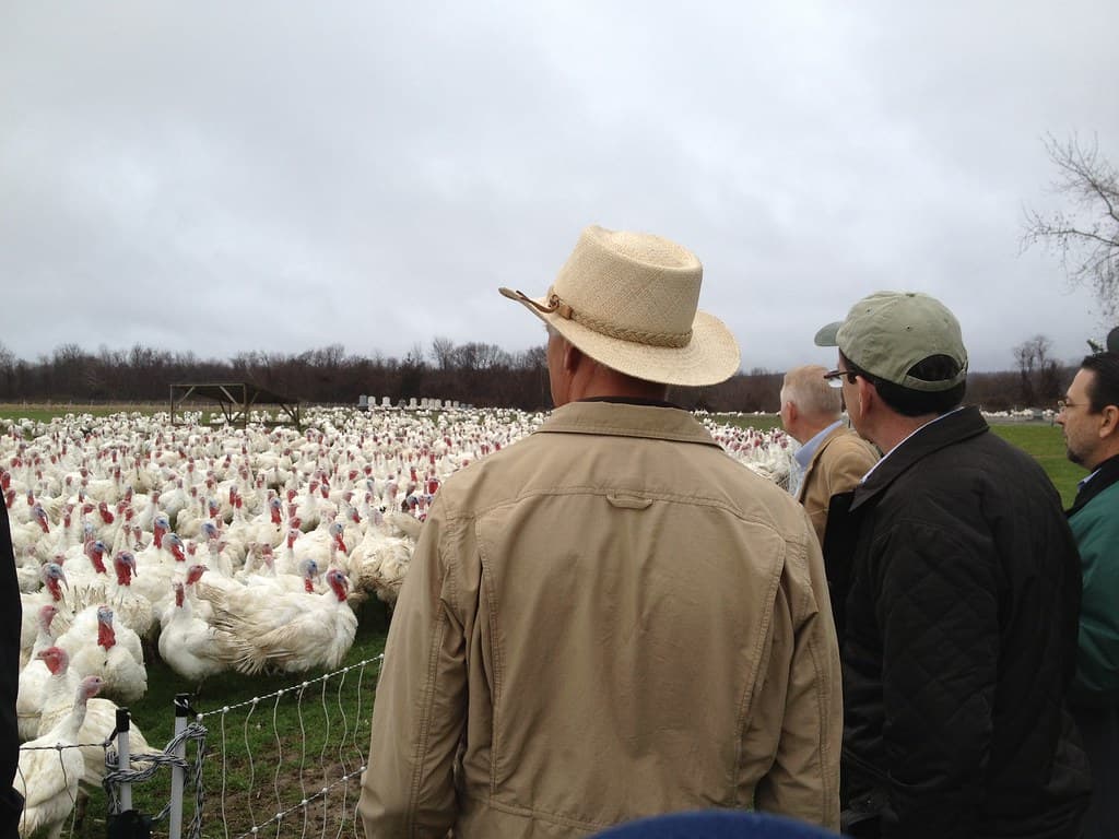Ekonk Hill Turkey Farm