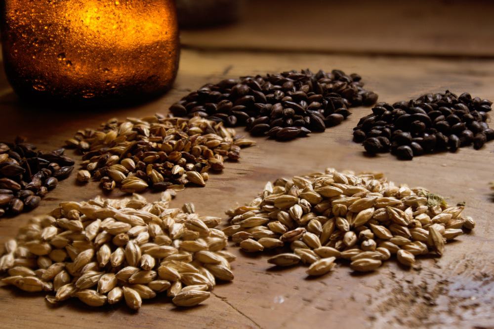 Grains For Brewing Beer