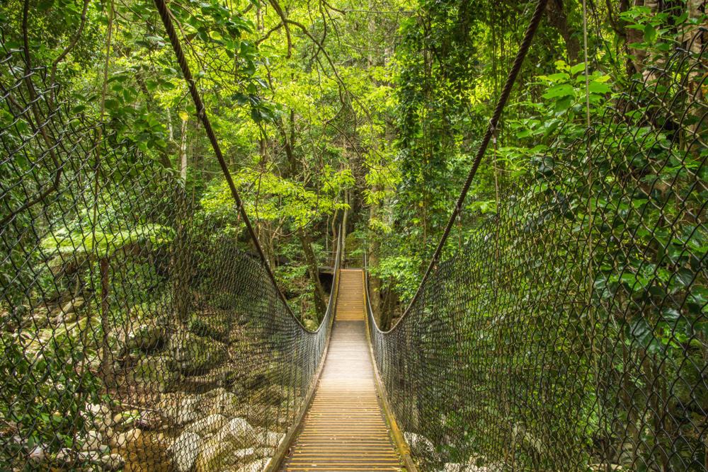 Minnamurra Rainforest Centre