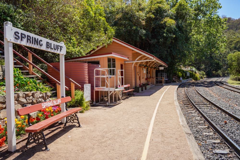 Spring Bluff Railway Station