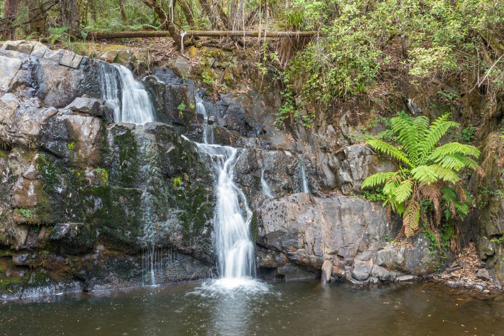 Lilydale Falls