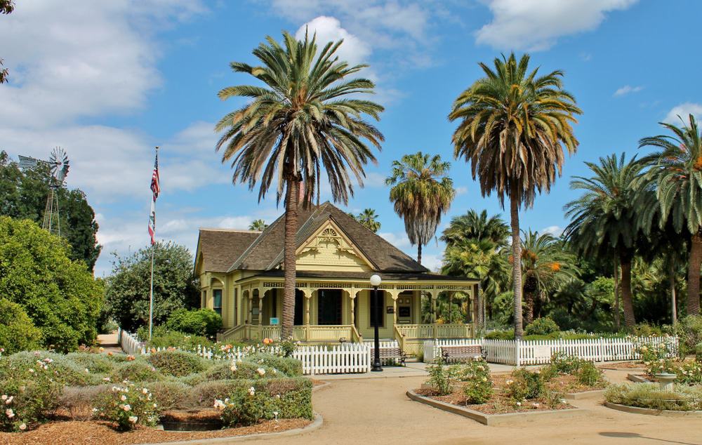 Fullerton Arboretum