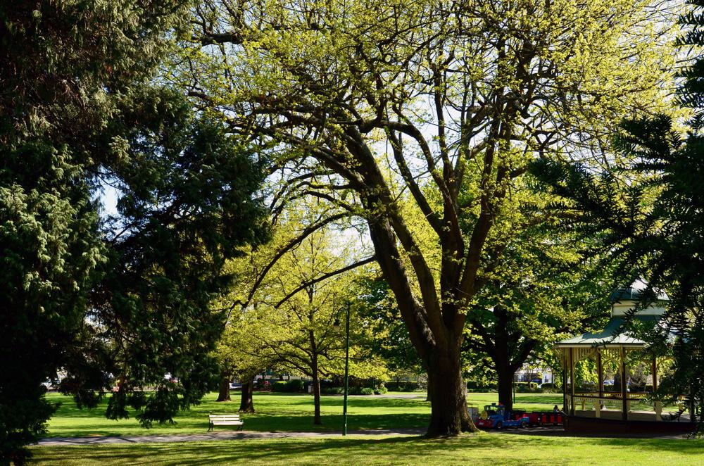 Launceston City Park