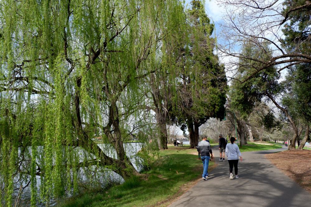 Lake Weeroona