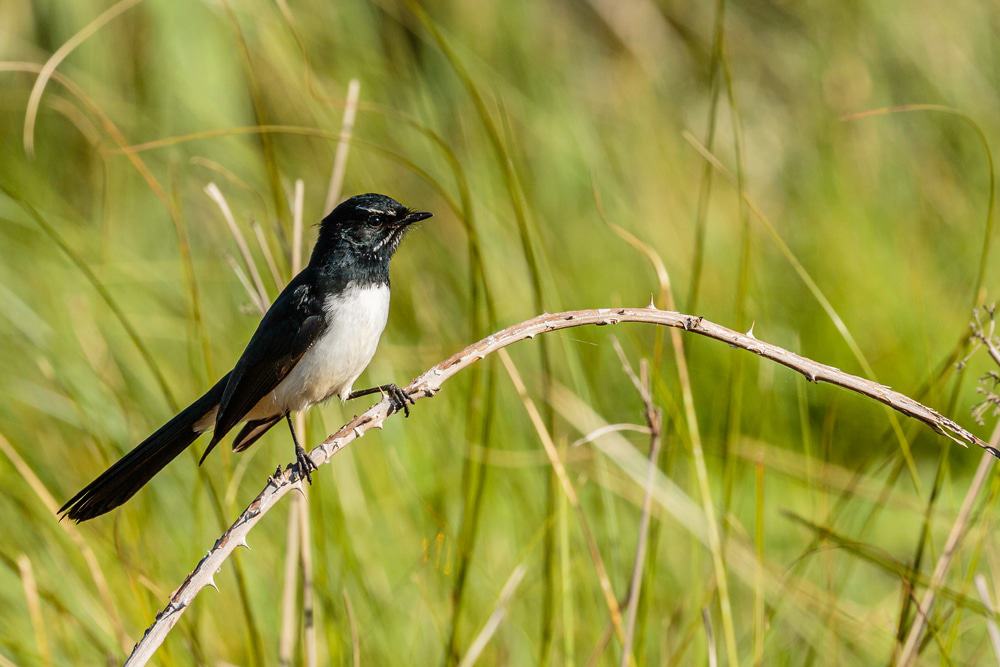 Crinigan Bushland Reserve
