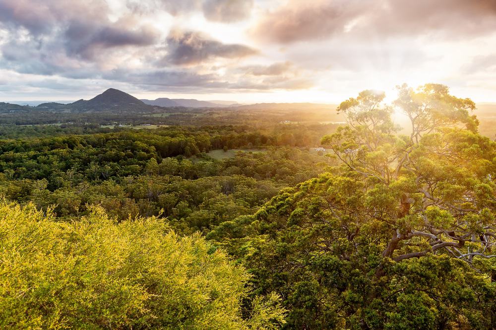 Tewantin National Park