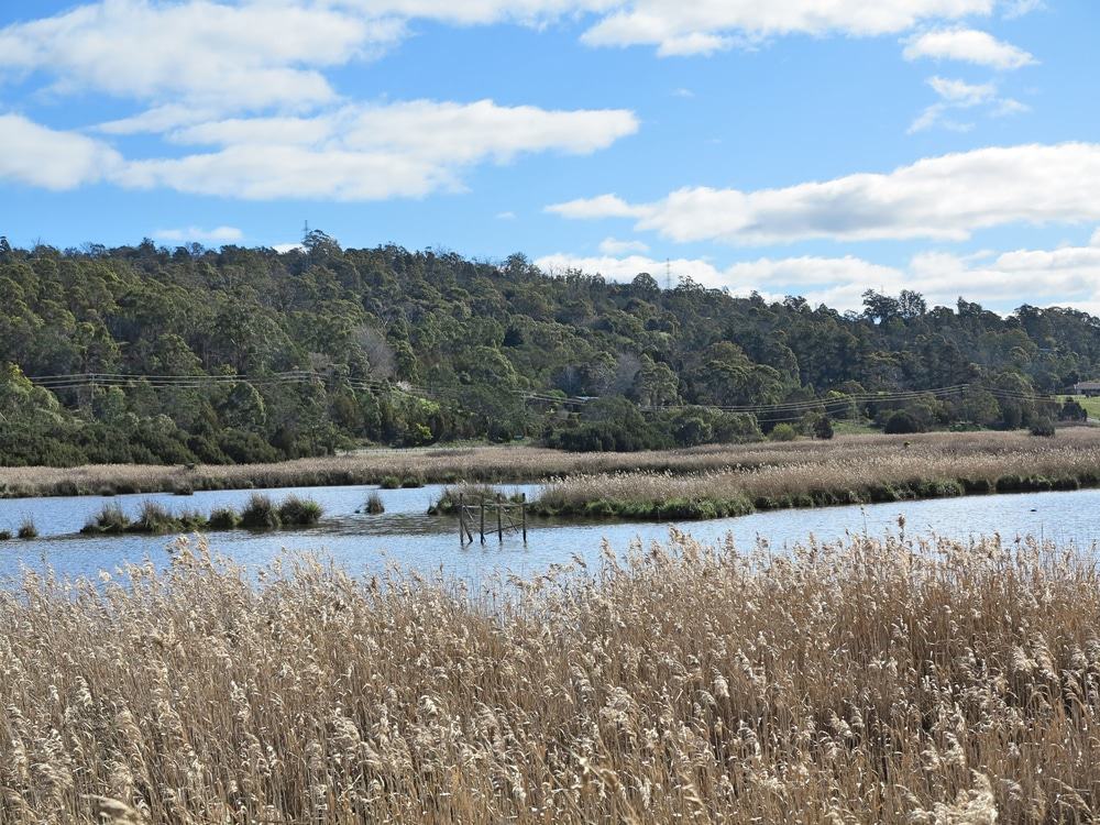 Tamar Island Wetlands