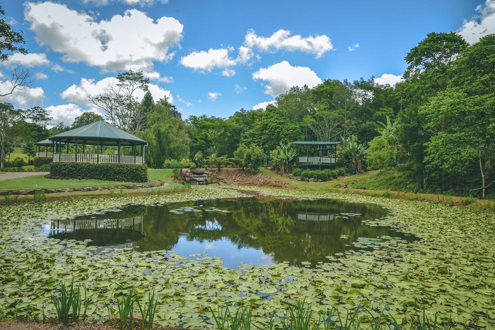 Maleny Botanic Gardens & Birdworld