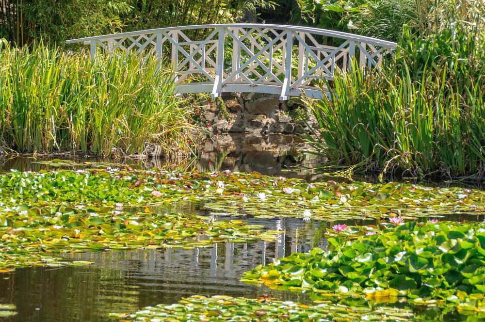 Royal Tasmanian Botanical Gardens