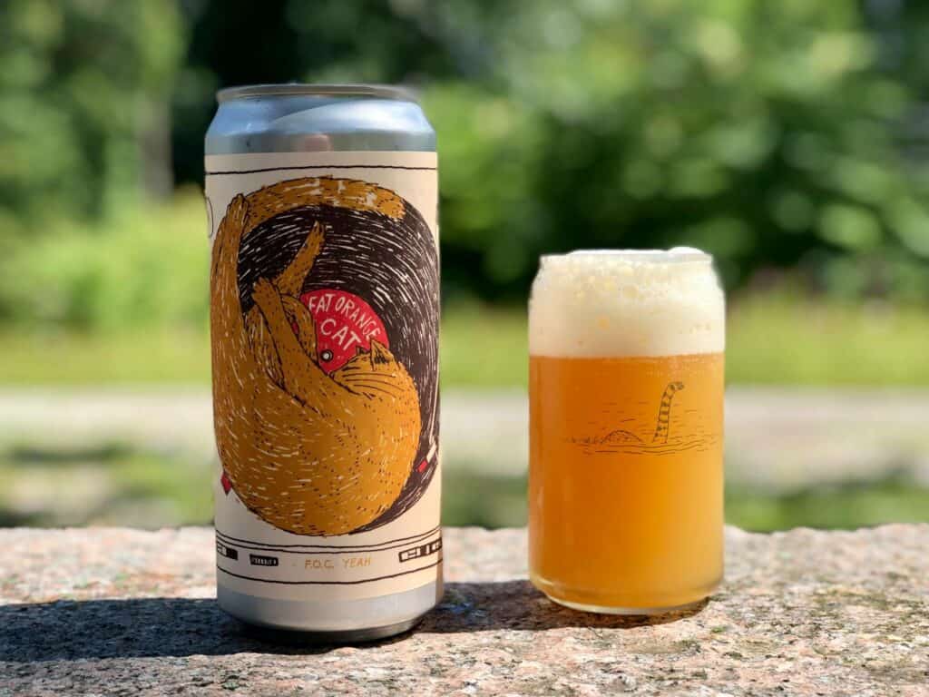 Fat Orange Cat Brew Co.