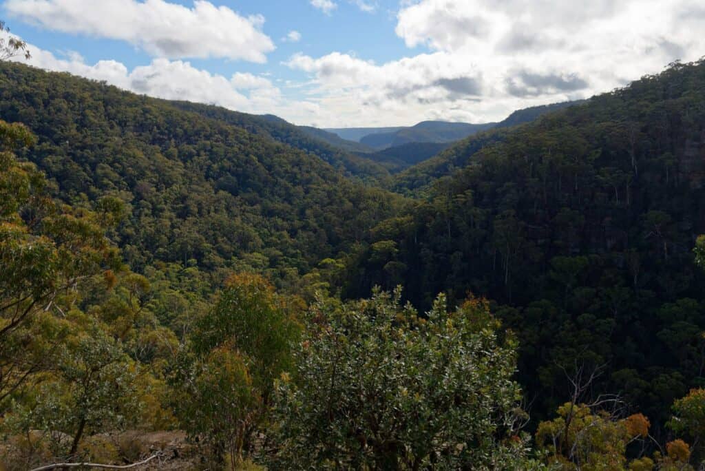 Nattai Gorge Lookout
