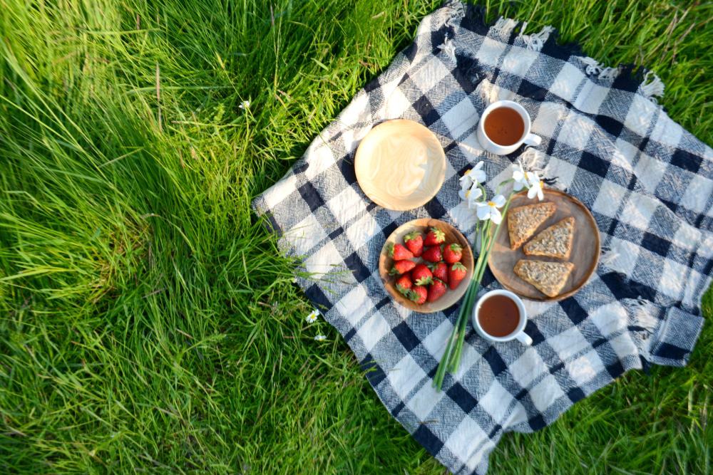 Picnic in the Park