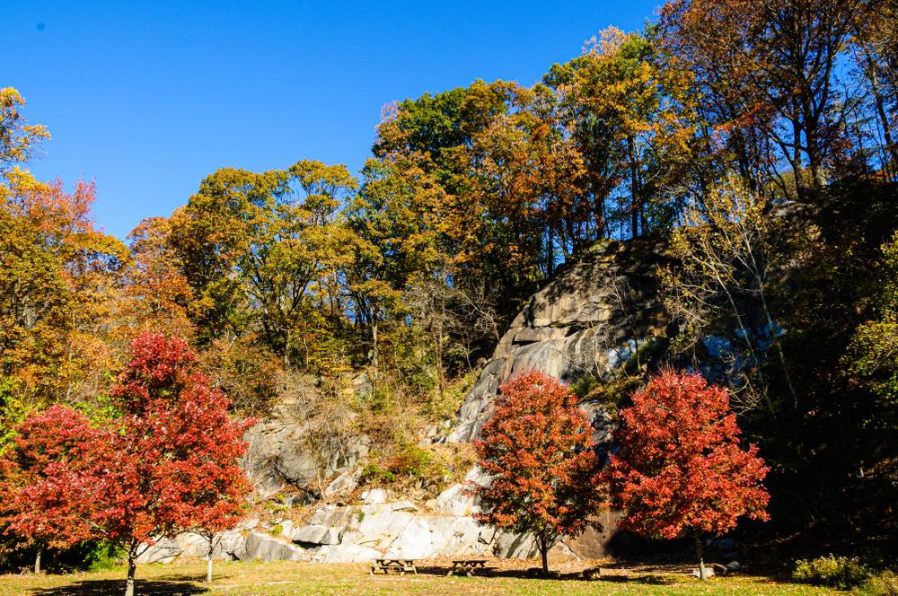 Alapocas Run State Park