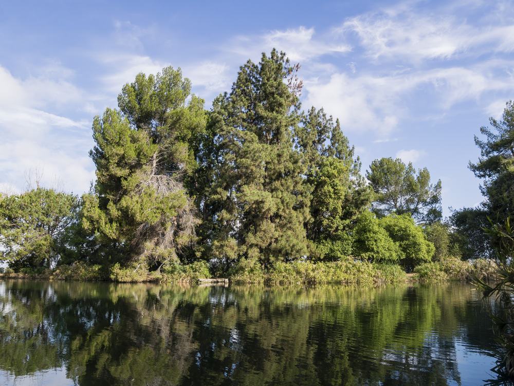 Ernest E. Debs Regional Park
