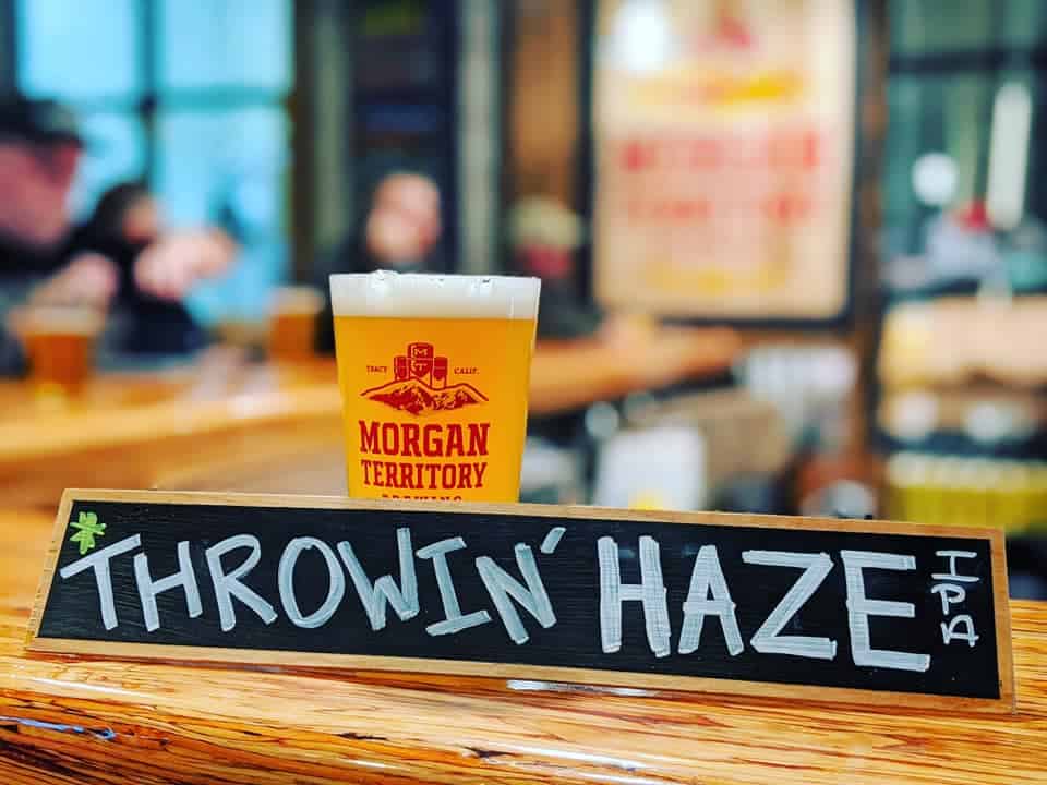 Morgan Territory Brewing