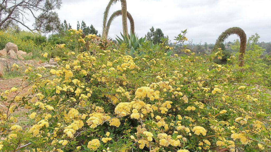 Brengle Terrace Park