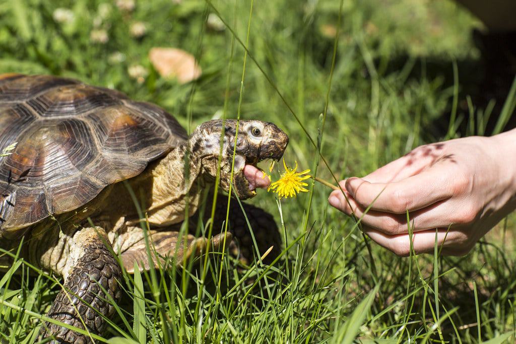 Sulphur Creek Nature Center