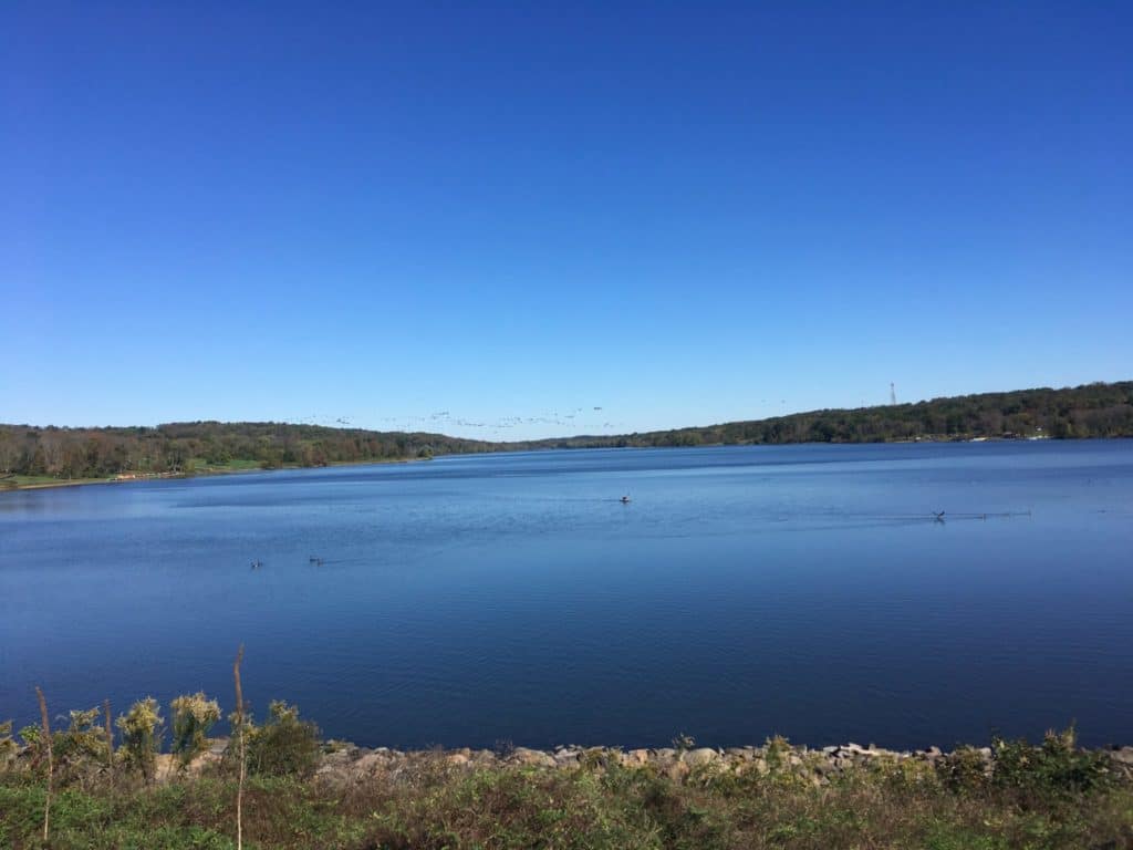 Lake Galena