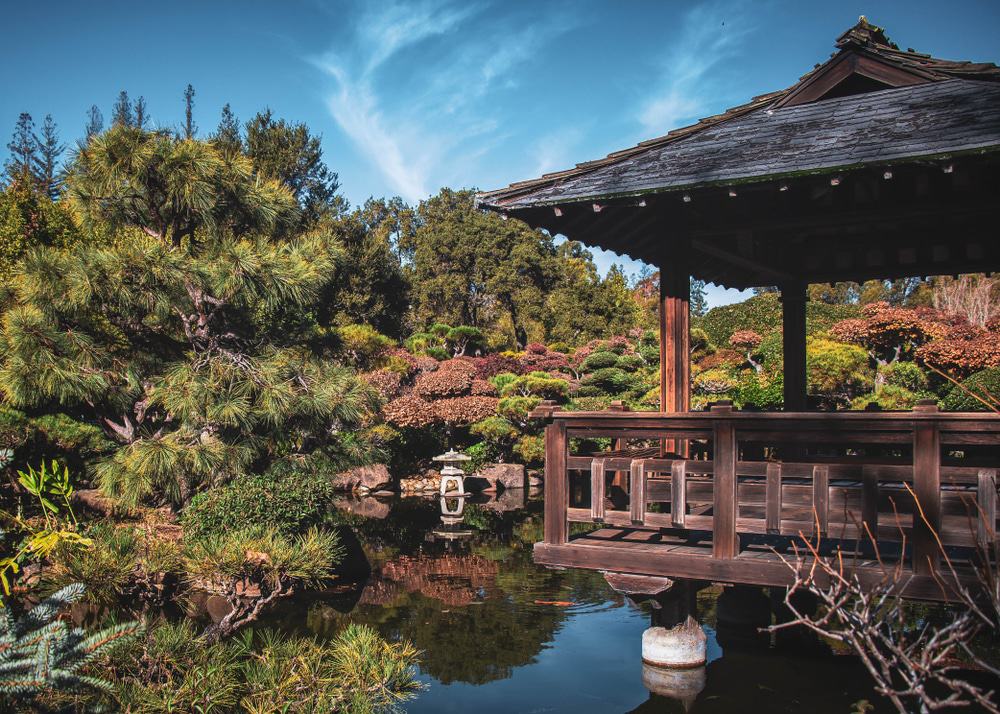Hayward Japanese Gardens
