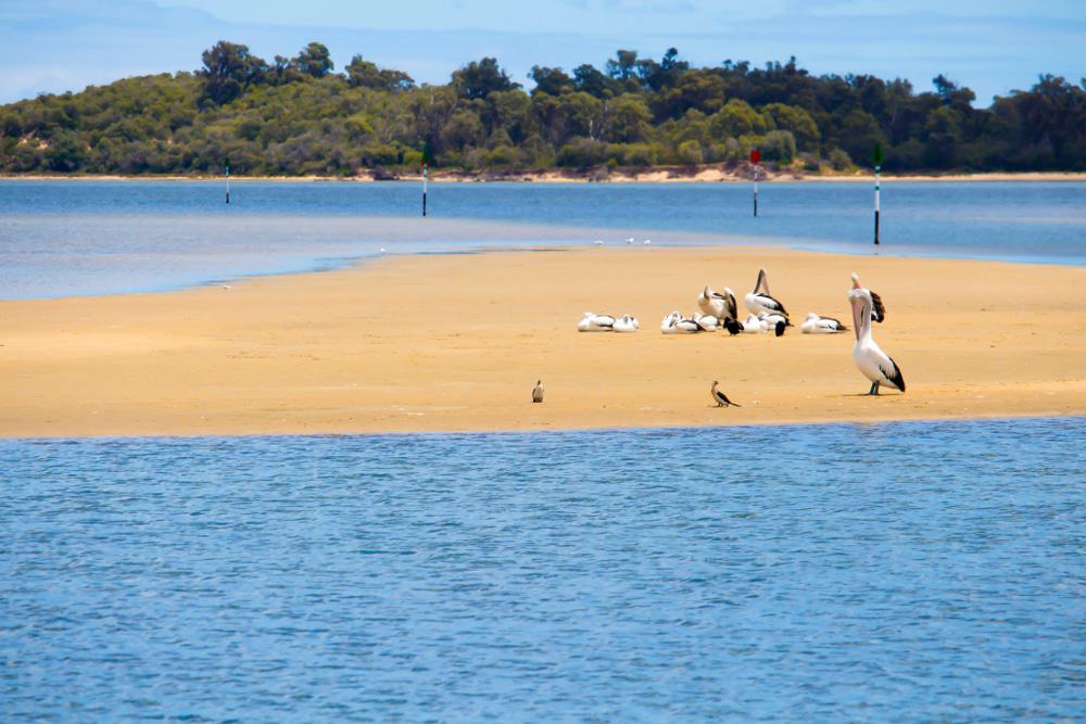 Leschenault Inlet