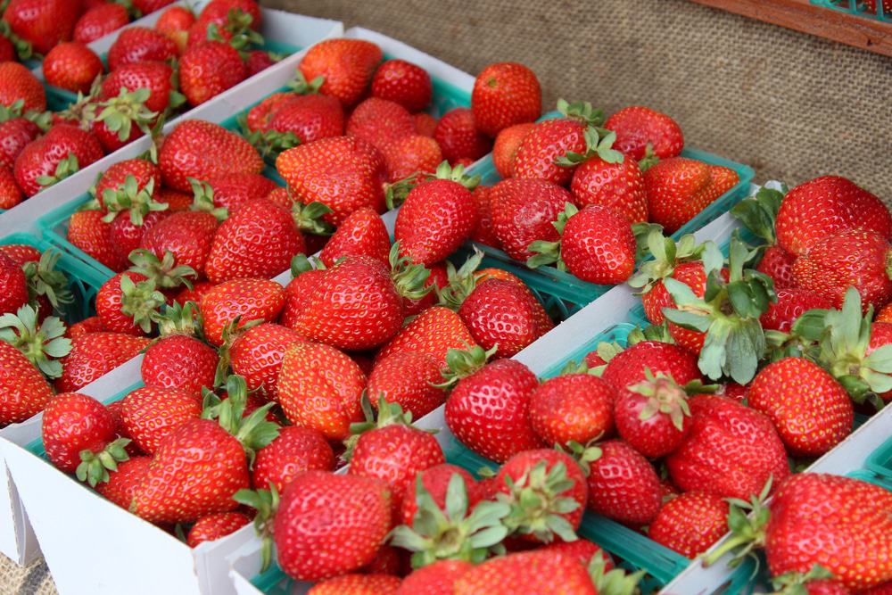 Vista Farmers Market