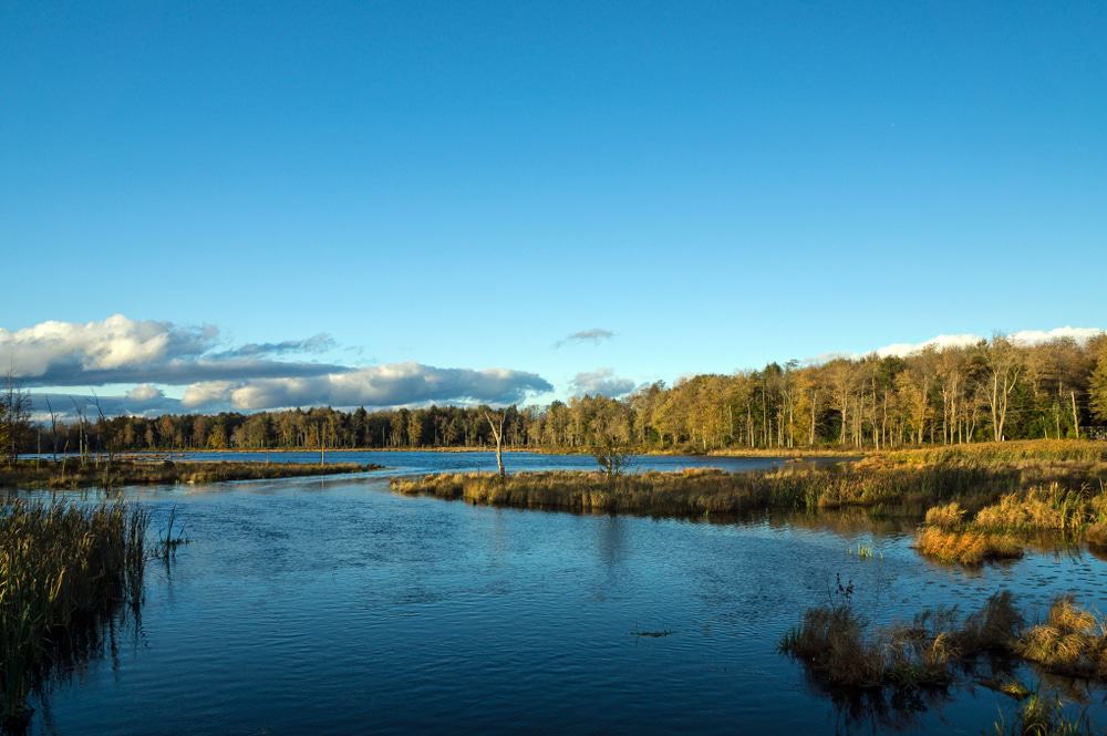 Gouldsboro Lake