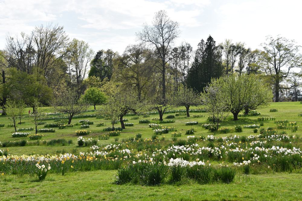 Irwin Park