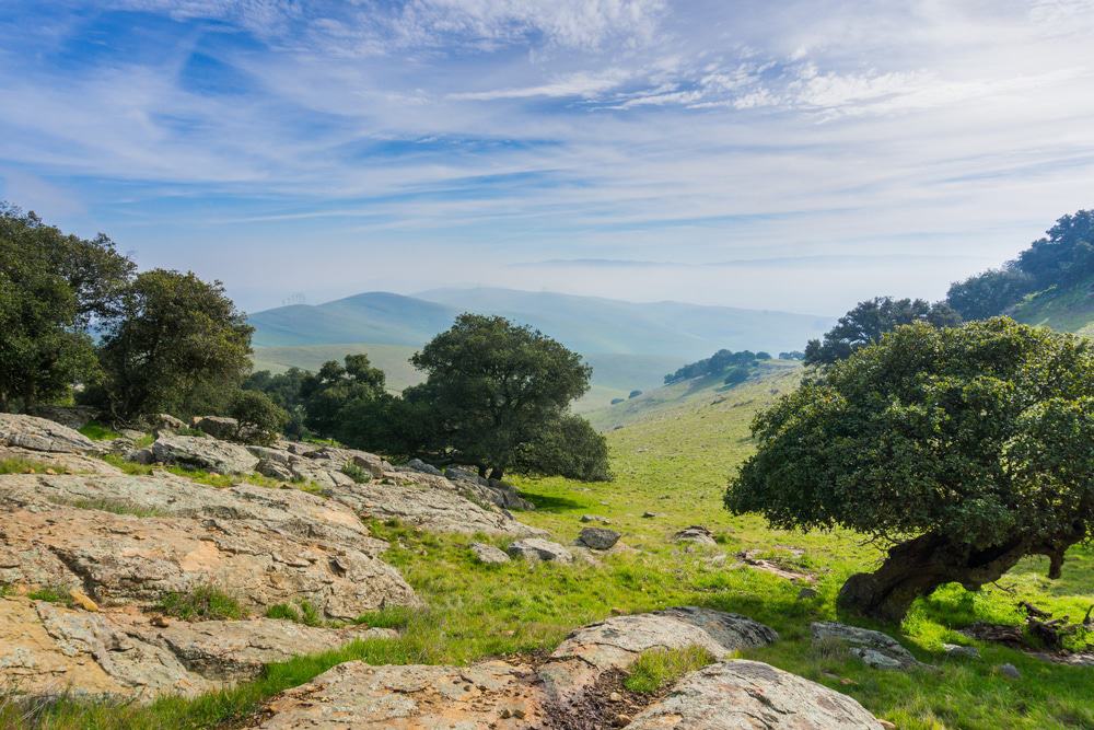 Brushy Peak Regional Preserve