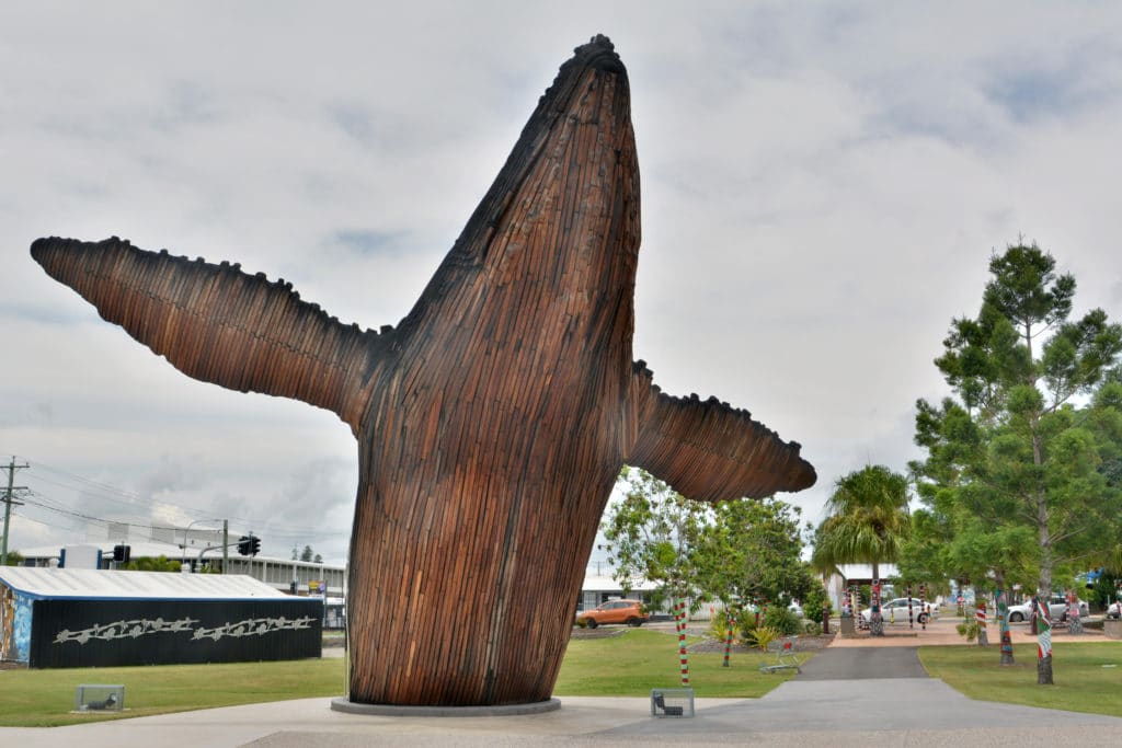 sculpture of 'Nala' in front of the Hervey Bay Regional Gallery
