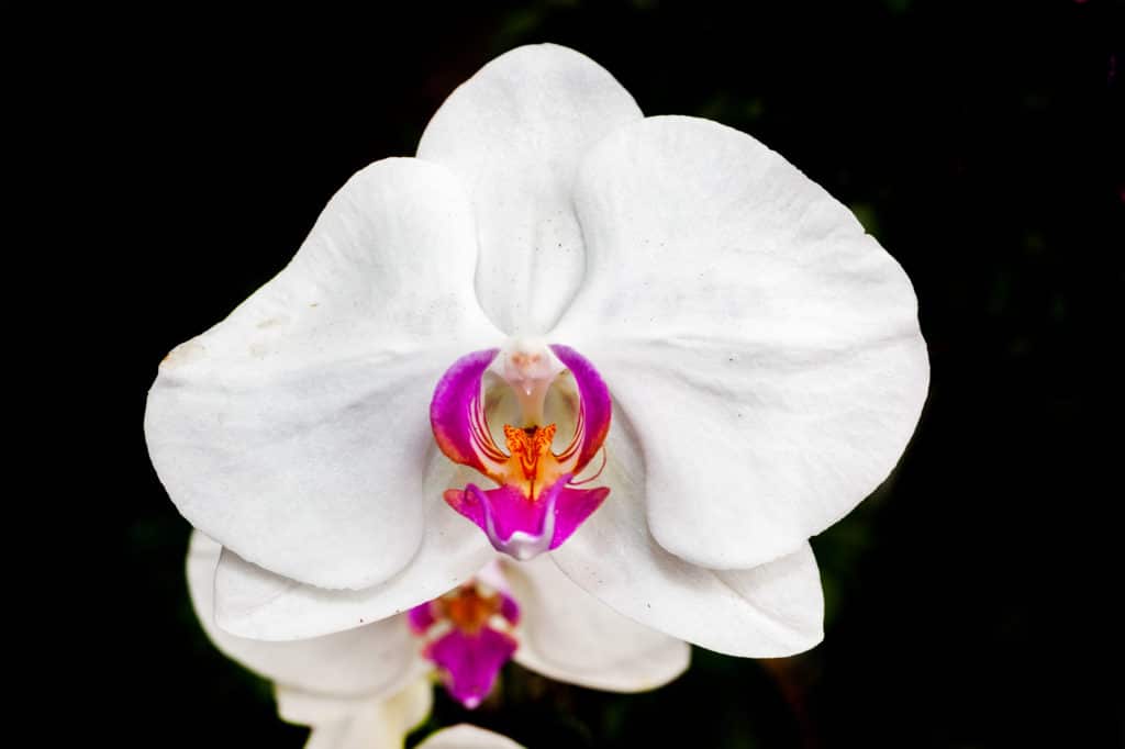 Hervey Bay Botanic Gardens