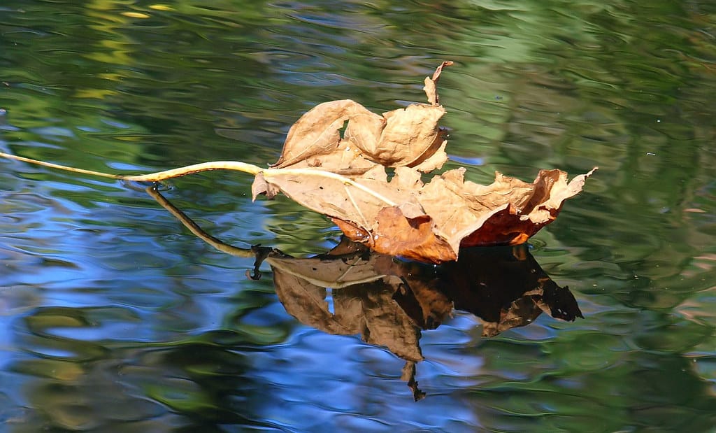Lake Winfield Recreation Area