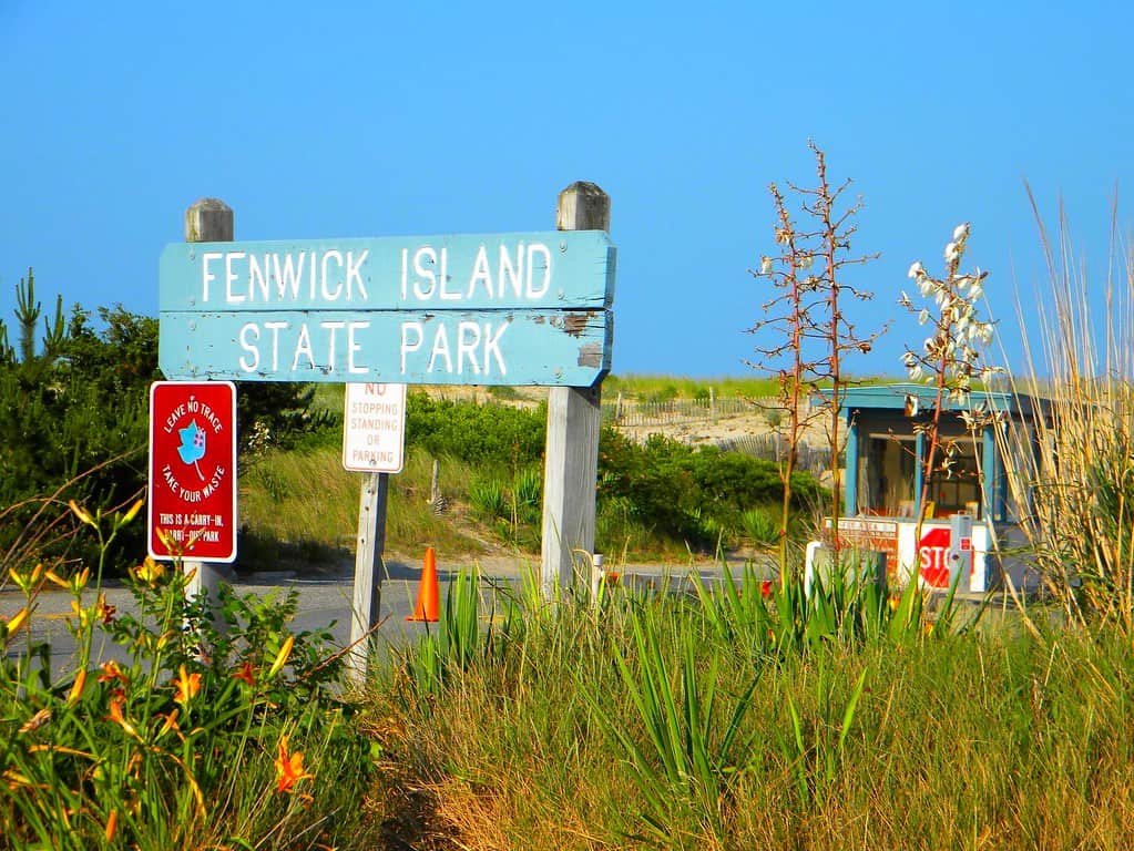 Fenwick Island State Park