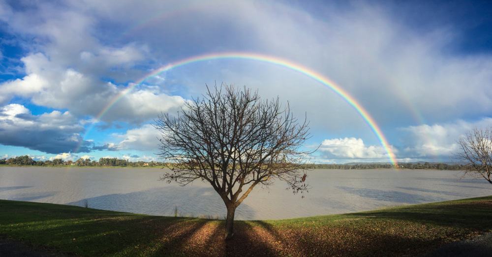 Lake Albert