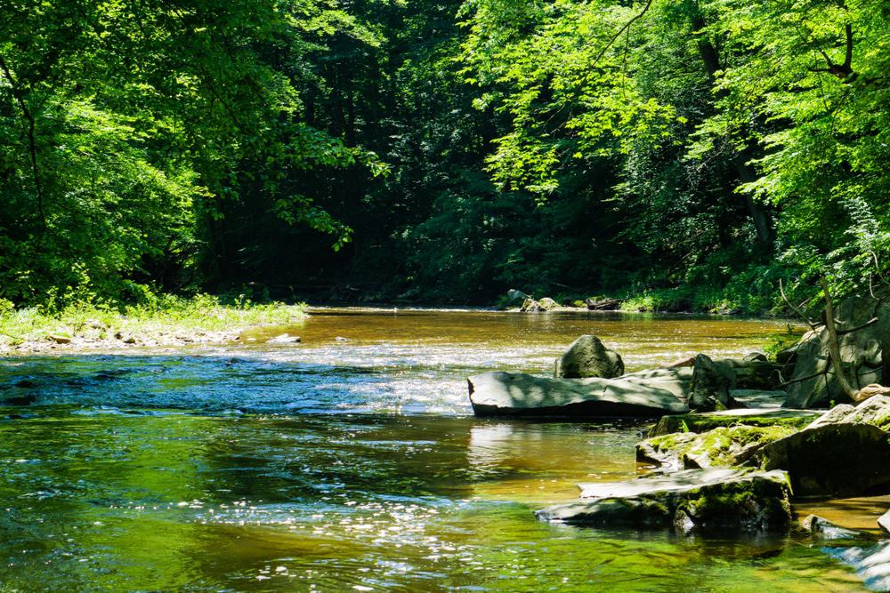 White Clay Creek State Park