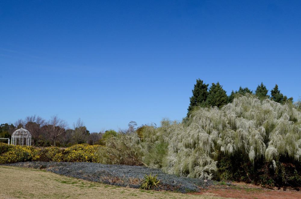 Australian Inland Botanic Gardens