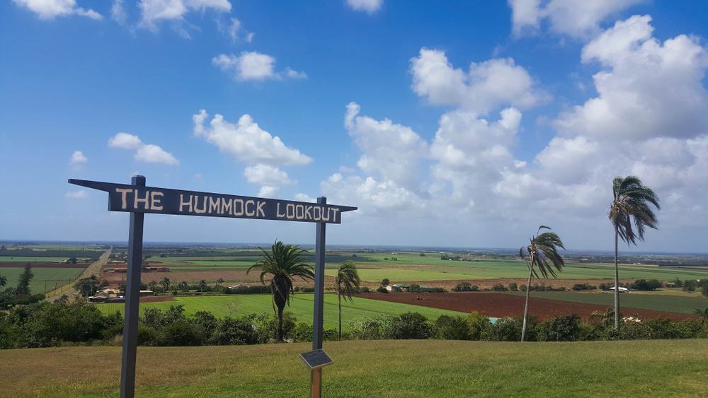 The Hummock Lookout