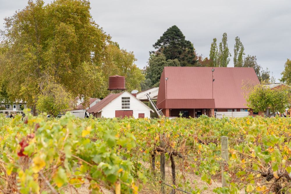 Goulburn Valley Wine Region
