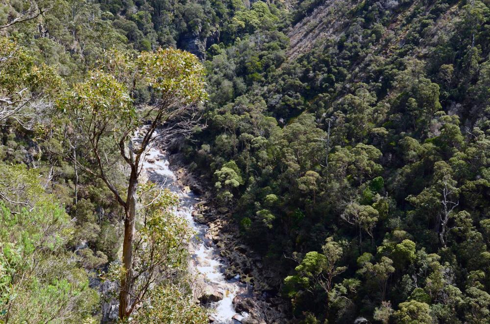 Leven Canyon