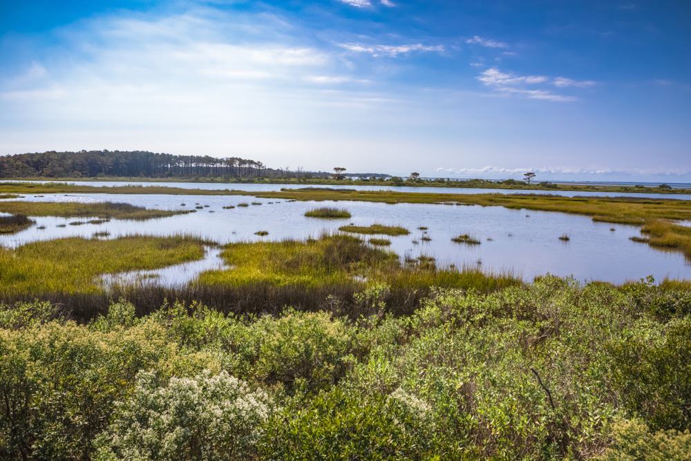 Delmarva Peninsula