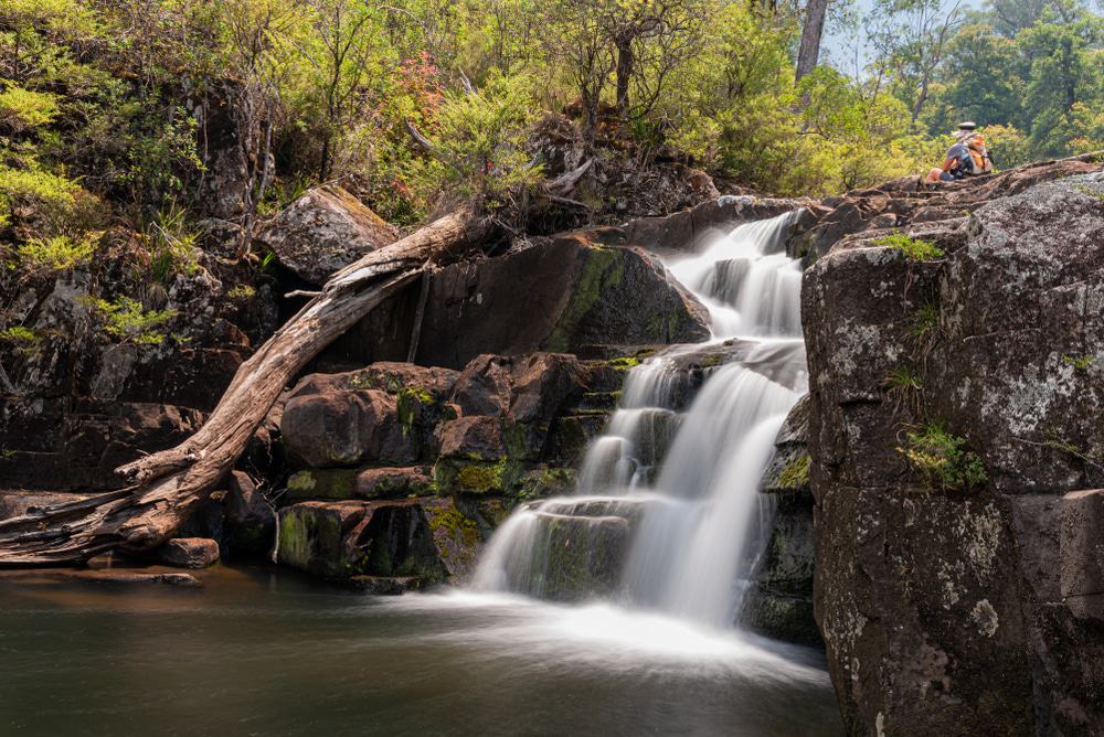 Gloucester Falls, Barrington Tops National Park
