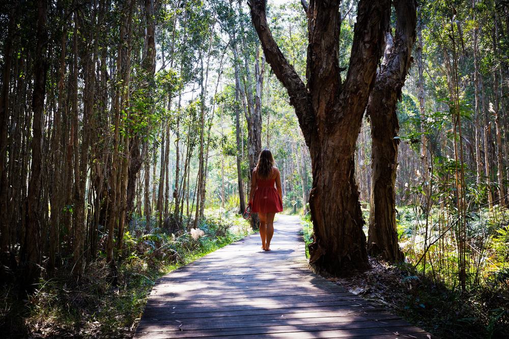 Sea Acres Rainforest Centre