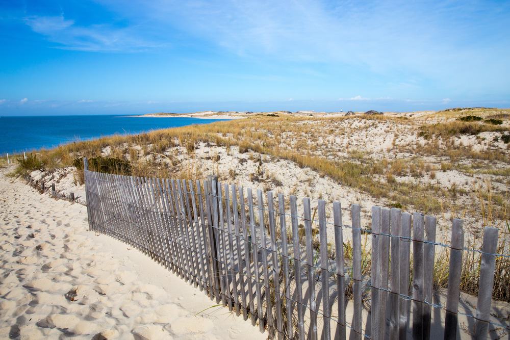 Cape Henlopen State Park