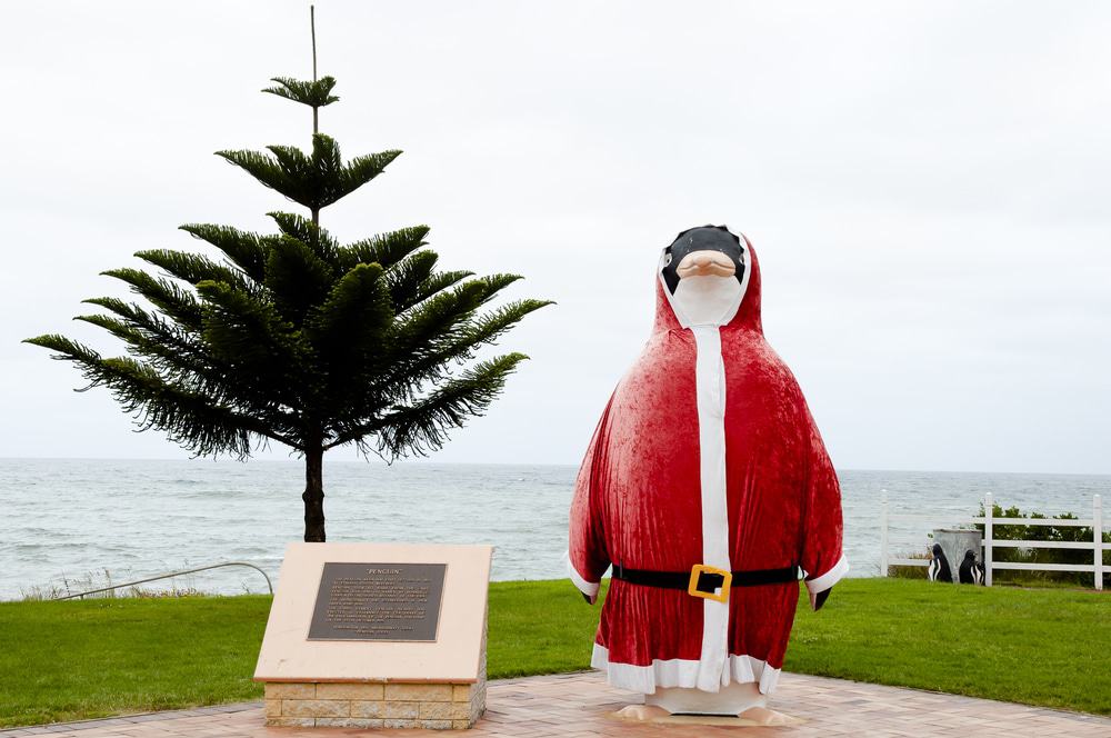 Big Penguin