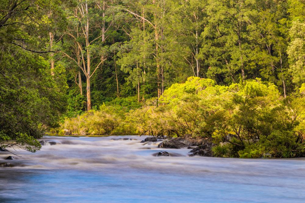 Nymboida National Park