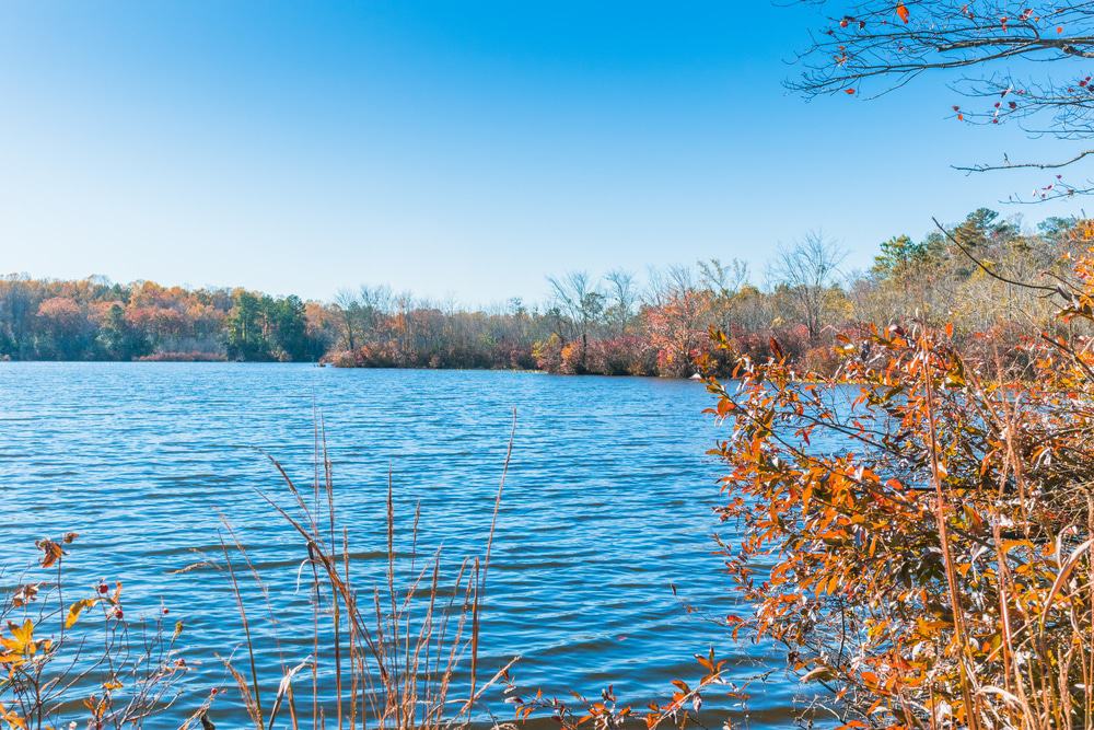 Killens Pond State Park