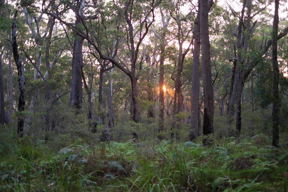 Meroo National Park