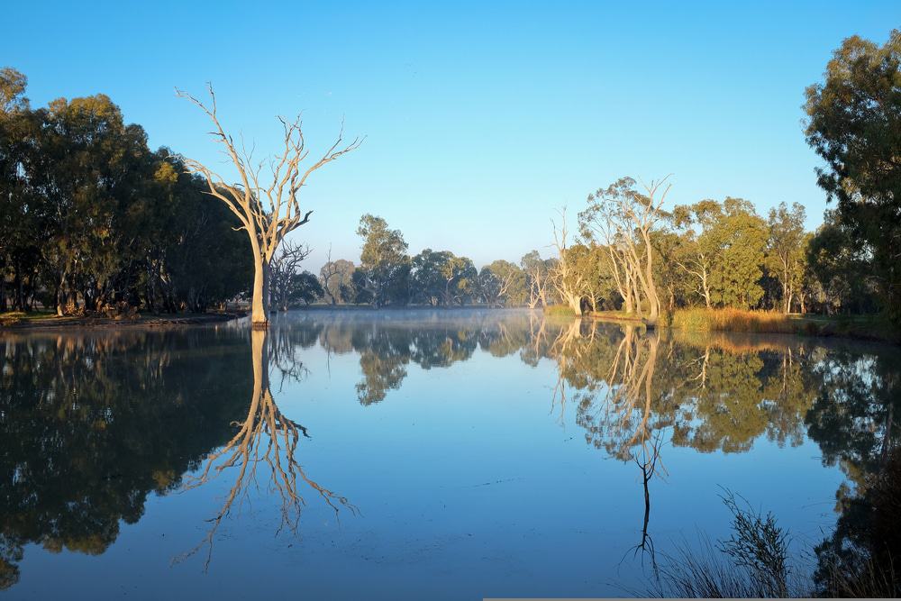 Wimmera River in Horsham