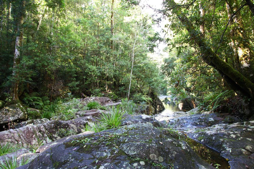 Washpool National Park